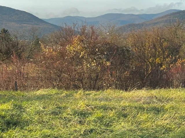 Eladó telek Szokolya 1334 nm