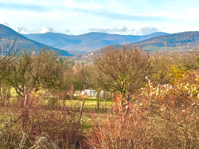 Eladó telek Szokolya 1334 nm