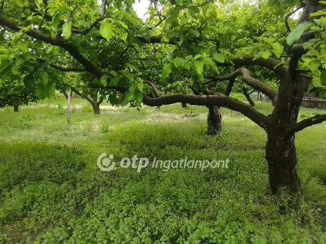 Eladó telek Győr, Nagyhegy 1020 nm