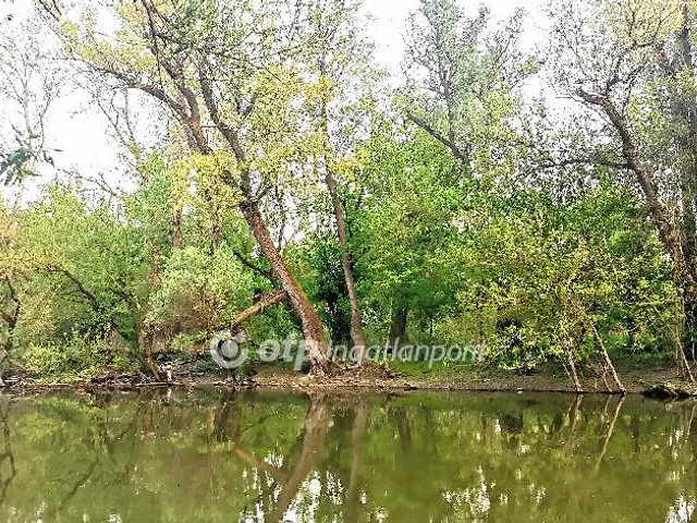 Eladó telek Győr 790 nm