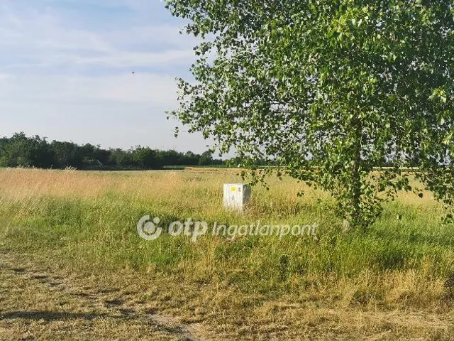 Eladó telek Mezőörs 1799 nm