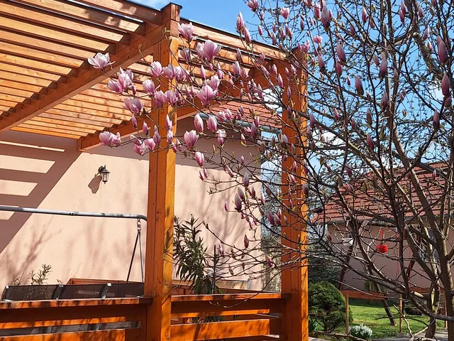 Eladó ház Nyúl 143 nm