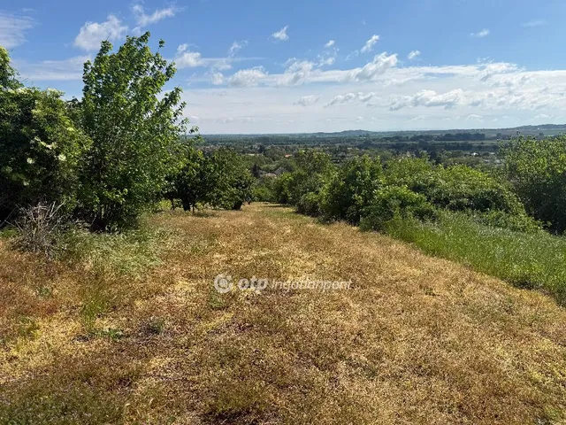 Eladó telek Nyúl 1425 nm