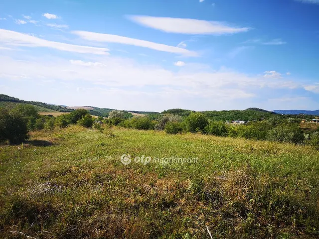 Eladó telek Tinnye, Királyvölgy 1506 nm