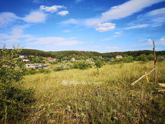 Eladó telek Tinnye, Királyvölgy 1506 nm