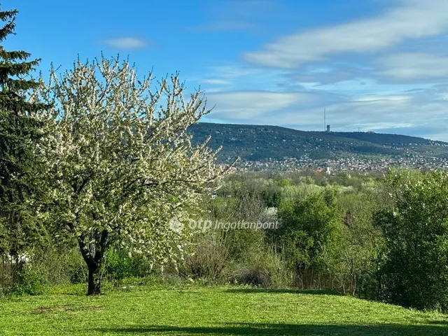 Eladó ház Törökbálint 220 nm