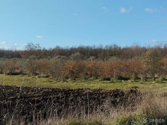 Eladó mezőgazdasági ingatlan Hatvan, Óhatvan 27000 nm