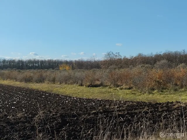 Eladó mezőgazdasági ingatlan Hatvan, Óhatvan 27000 nm