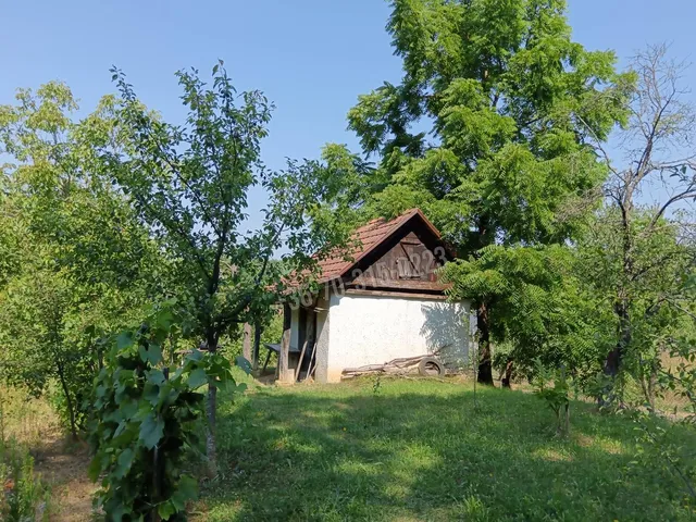 Eladó mezőgazdasági ingatlan Lenti 8 nm