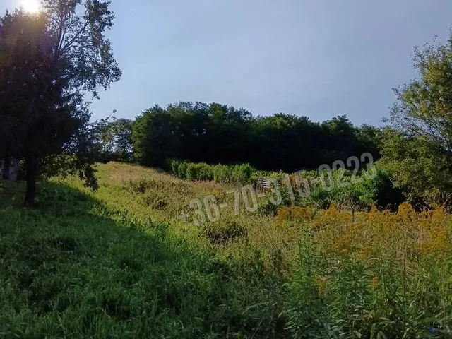 Eladó telek Tornyiszentmiklós 2382 nm