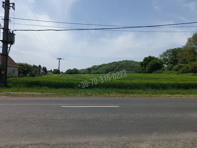 Eladó telek Tornyiszentmiklós 2918 nm