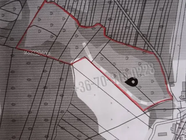 Eladó mezőgazdasági ingatlan Pusztamagyaród, Tarabó-lap 19103 nm