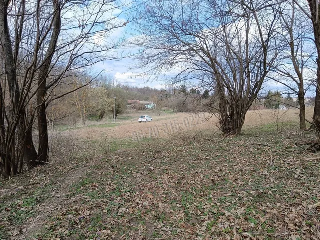 Eladó mezőgazdasági ingatlan Pusztamagyaród, Tarabó-lap 19103 nm