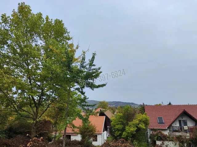 Eladó ház Nagykovácsi 407 nm