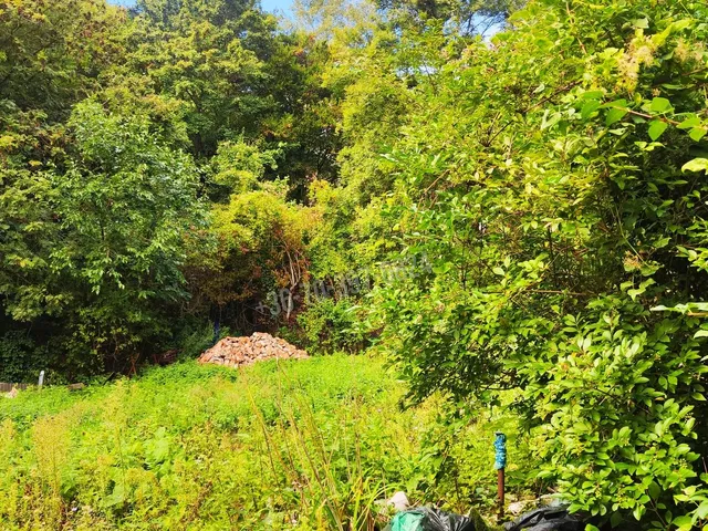 Eladó telek Budapest II. kerület 1328 nm