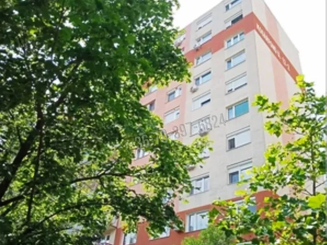 Eladó lakás Budapest XIX. kerület 53 nm