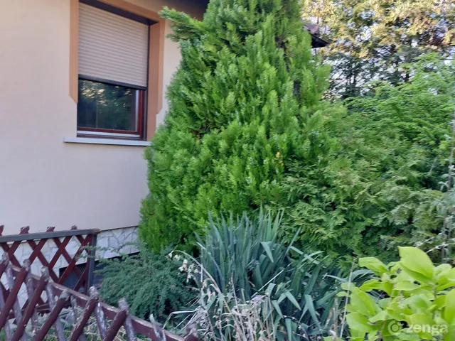 Eladó ház Szada 360 nm