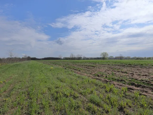 Eladó mezőgazdasági ingatlan Szatymaz 8203 nm