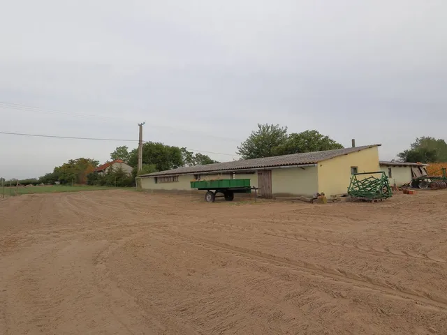 Eladó mezőgazdasági ingatlan Üllés 11000 nm