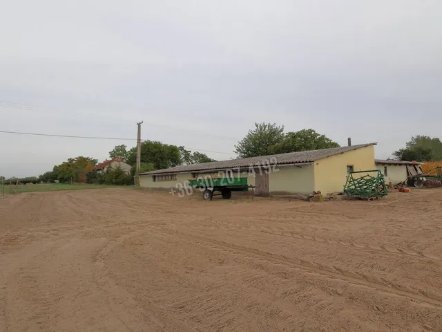 Eladó mezőgazdasági ingatlan Üllés 11000 nm