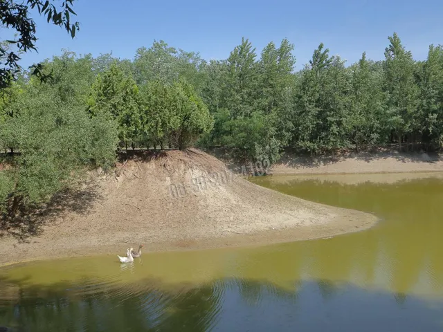 Eladó mezőgazdasági ingatlan Ópusztaszer 100 nm