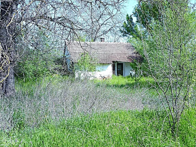 Eladó mezőgazdasági ingatlan Dóc 70 nm