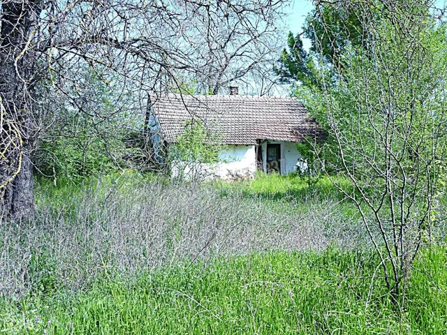 Eladó mezőgazdasági ingatlan Dóc, Szent Ferenc dűlő 70 nm