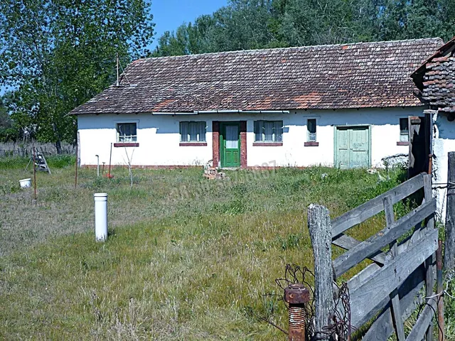 Eladó mezőgazdasági ingatlan Zákányszék 93 nm