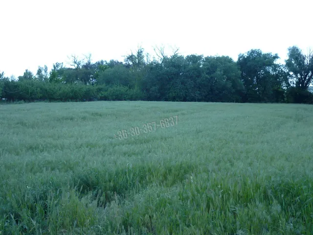Eladó telek Zsombó 3745 nm