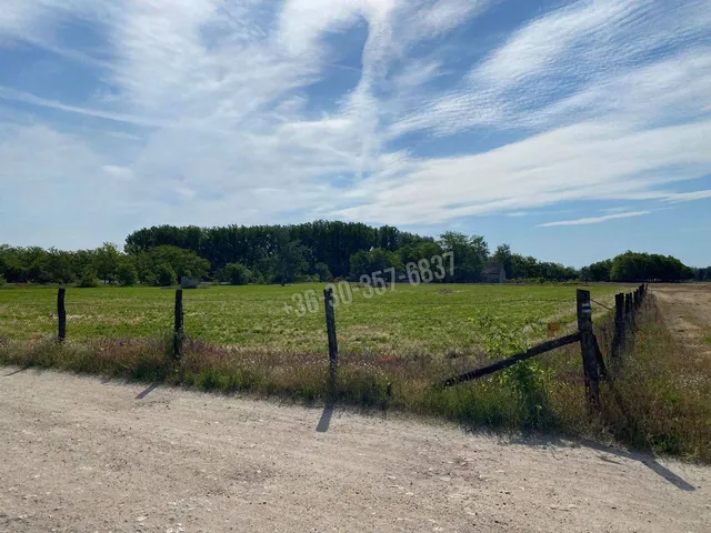 Eladó telek Szatymaz 5900 nm