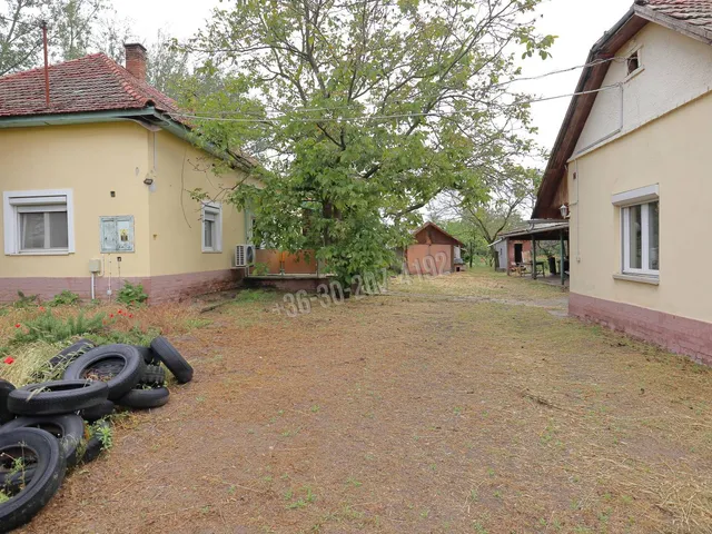 Eladó mezőgazdasági ingatlan Sándorfalva 88 nm