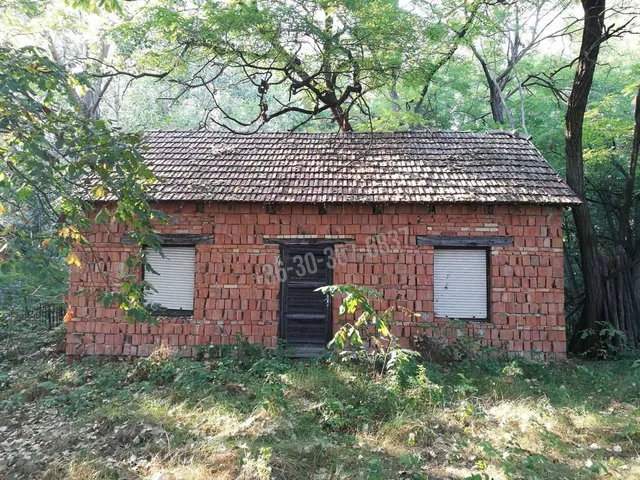 Eladó mezőgazdasági ingatlan Zsombó 21863 nm
