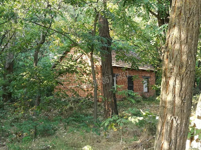 Eladó mezőgazdasági ingatlan Zsombó 21863 nm