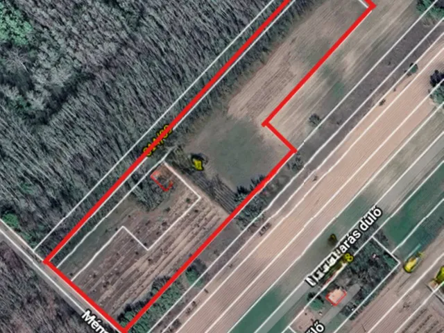 Eladó mezőgazdasági ingatlan Zsombó 21863 nm