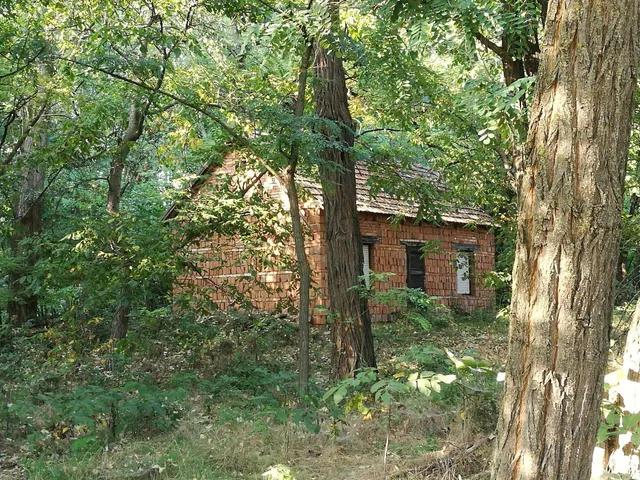 Eladó mezőgazdasági ingatlan Zsombó 21863 nm