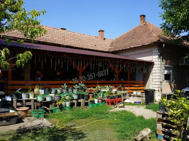 Eladó ház Tömörkény 93 nm