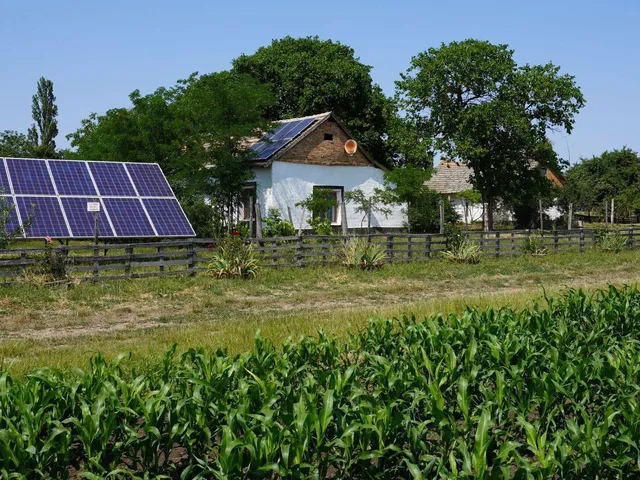 Eladó mezőgazdasági ingatlan Sándorfalva 55 nm