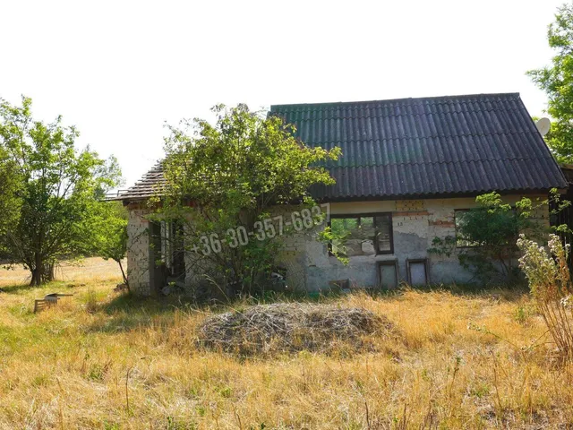 Eladó mezőgazdasági ingatlan Domaszék 88 nm