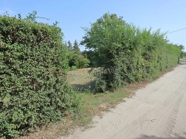 Eladó telek Szatymaz 1042 nm