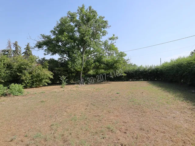 Eladó telek Szatymaz 1042 nm