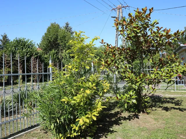 Eladó ház Balatonfenyves 200 nm