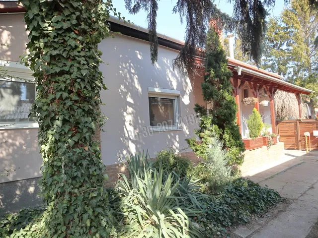 Eladó ház Sándorfalva 130 nm