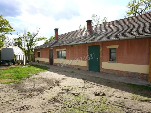 Eladó mezőgazdasági ingatlan Balástya 95 nm