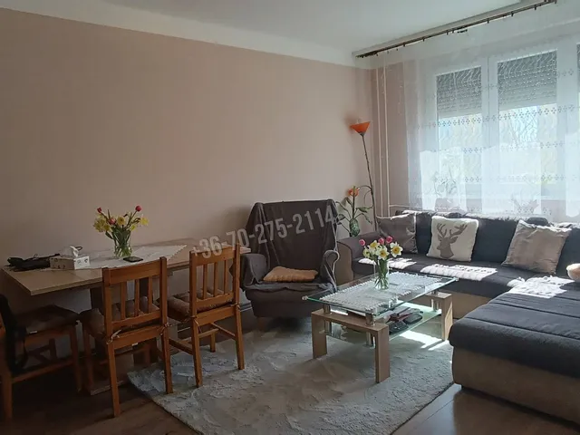 Eladó lakás Szeged, Makkosház 47 nm