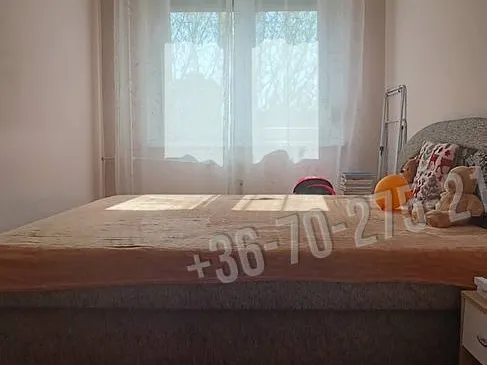Eladó lakás Szeged, Makkosház 47 nm