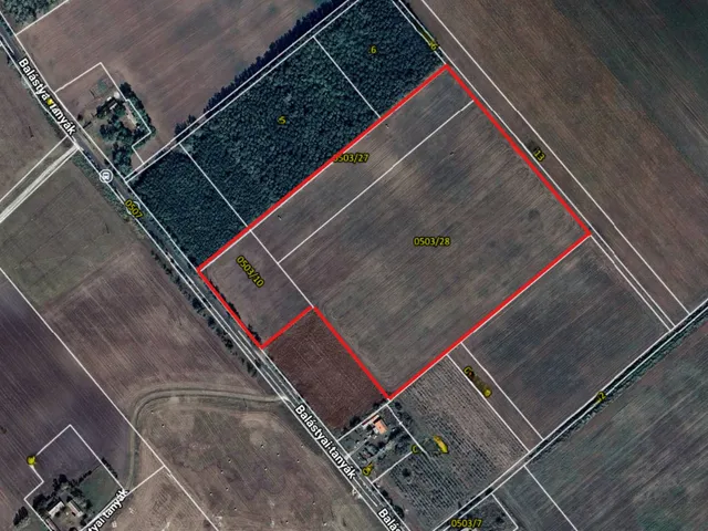 Eladó mezőgazdasági ingatlan Balástya 57412 nm