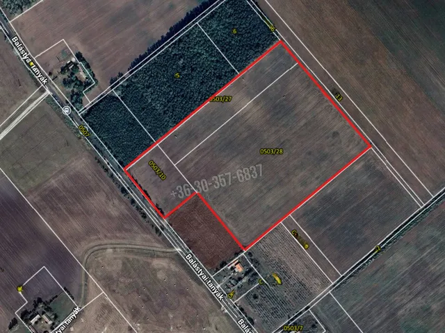 Eladó mezőgazdasági ingatlan Balástya 57412 nm