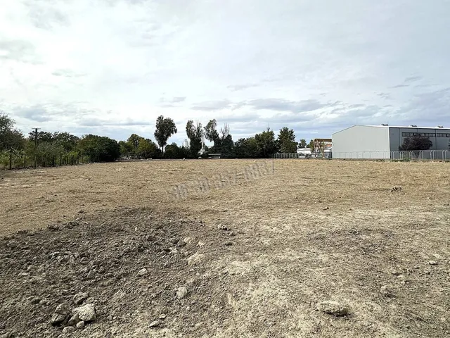 Kiadó kereskedelmi és ipari ingatlan Szeged, Iparváros 8000 nm