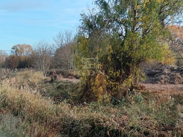 Eladó telek Pécel 1156 nm