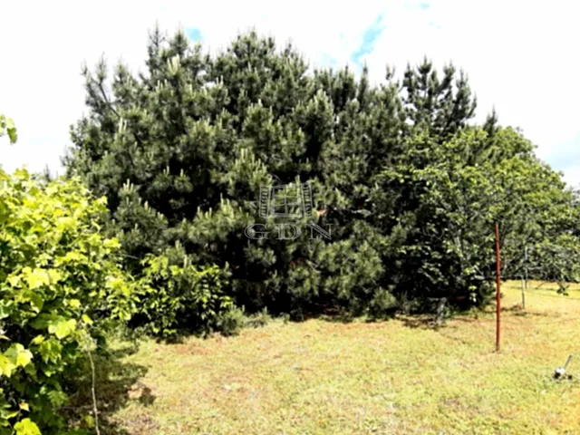 Eladó telek Budapest XVII. kerület, Rákoshegy 1017 nm